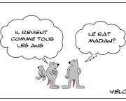 Le rat qui s'appelait Madan