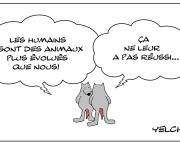 Humains évolués (?) 