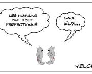 Perfection certainement pas humaine
