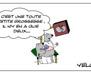 Le rat qui faisait une échographie