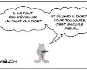 Le chat qui dort pour toujours