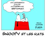 si Snoopy rencontrait les rats...