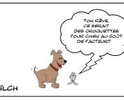 Les meilleurs croquettes pour chien