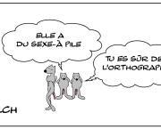 Le rat et le sex-appeal