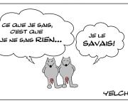 Je savais que tu savais que tu ne savais rien