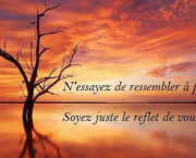 Une occasion spéciale