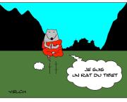 Le rat qui vivait au Tibet