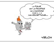 la folie n'est pas que le propre de l'homme , il y a aussi des rats fous...