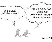 Le rat qui courait après quelque chose...