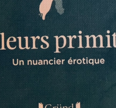 prev