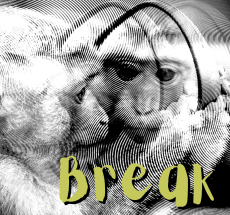 prev