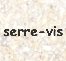 prev