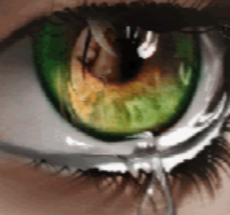 prev