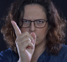 prev