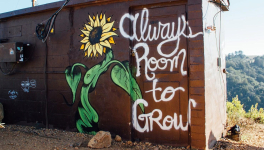 Une question de pouvoir