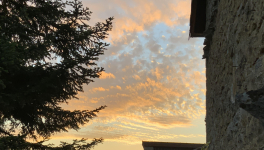 Le jardin du 7 Septembre