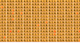 Proverbes et expressions à ma façon (1/3)