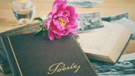 Du pouvoir de la poésie ...