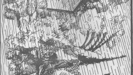 La pluie.