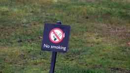 10 juillet - No smoking