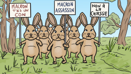 manif de lièvres contre la chasse