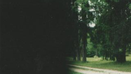 A History of Wickedness/TheMartyrdom of Saint Appolonia (a poem) 