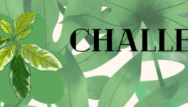 Challenge - Jalap