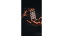 Roi d'un château de cartes