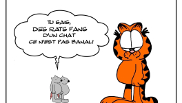 Hommage à mon chat préféré