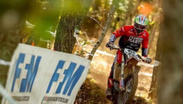 Site d'excellence au Lycée François Marty de Monteils 