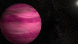 Univers
