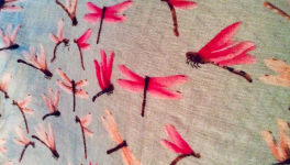 Le jardin du 11 Juillet