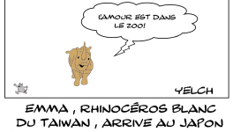 Une nouvelle émission pour Karine le marchand