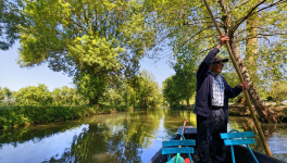 «A coup de pigouille dans mon Marais»