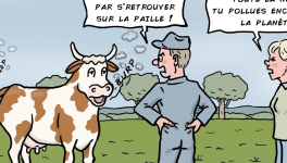        le rot des vaches en question