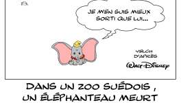 Dumbo a  finalement eu de la chance... 
