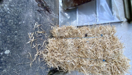 Le jardin du 27 Novembre