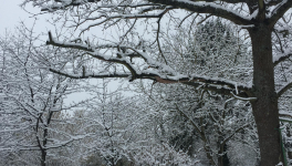Mon moment préféré de Noël