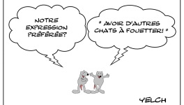 Les rats qui aimaient fouetter les chats