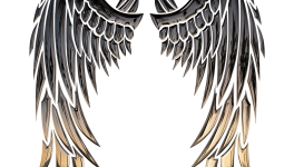 Chapitre 11 - Ils sont de retour