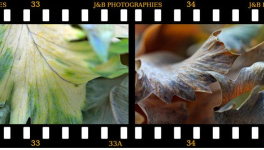 La photographie contemporaine