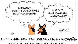 Agressivité à quatre pattes à la Maison Blanche