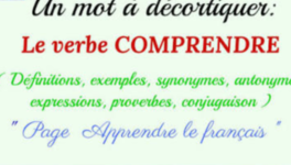 En 2 mots, comprenez-moi !