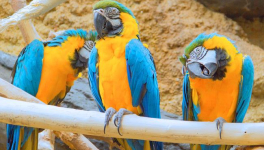 est-ce que cela vaut le coup d’en parler ?