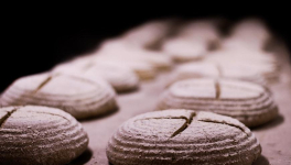 Chapitre 25 Une révélation