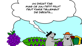 RATPSODIES  - SUMMER 2024 - 31