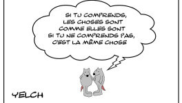 Comprendre les choses ou pas