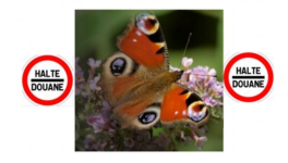 frontières de folie