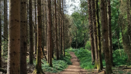 Concours de nouvelles dans le cadre du Trail Passe Partout : thème "le dernier ravito".