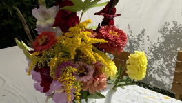 Le jardin du 9 Août 